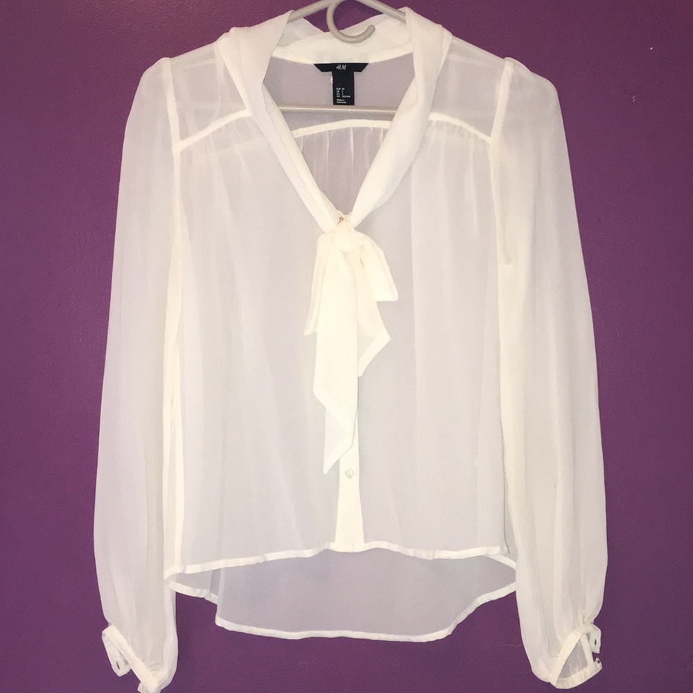 H&M Sheer Blouse
